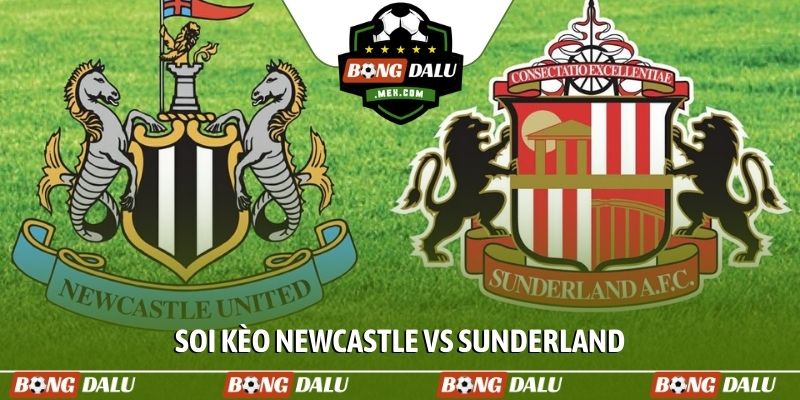 Soi kèo Newcastle vs Sunderland, 19h00 ngày 22/03, EPL