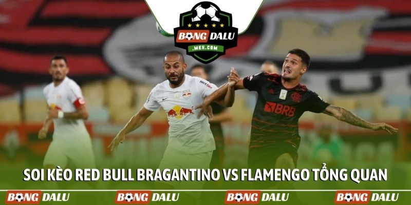 Soi kèo Red Bull Bragantino vs Flamengo tổng quan