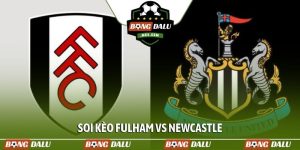 Soi kèo Fulham vs Newcastle, 22h00, 24/05, EPL vòng 38