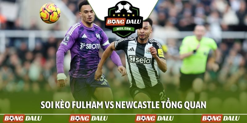 Soi kèo Fulham vs Newcastle tổng quan