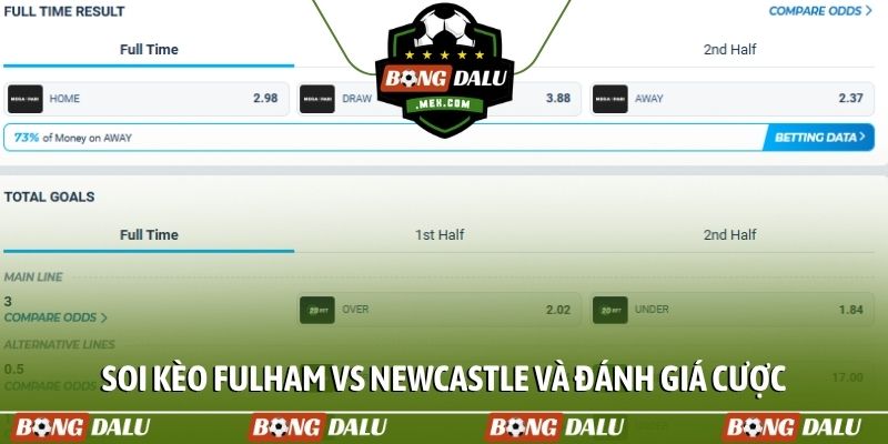 Soi kèo Fulham vs Newcastle và đánh giá cược